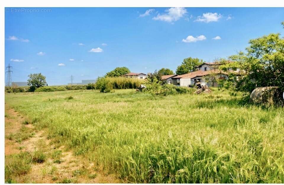 Terrain à PLAISANCE-DU-TOUCH