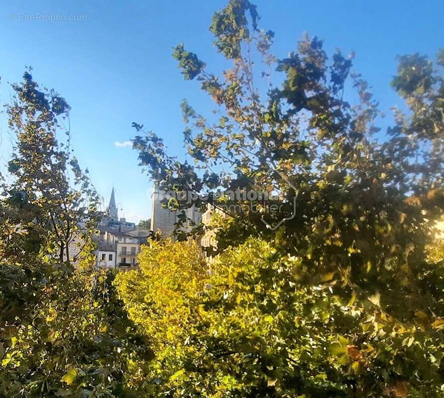 AVIGNON IM, appartement P5, dernier étage. - photo 10
