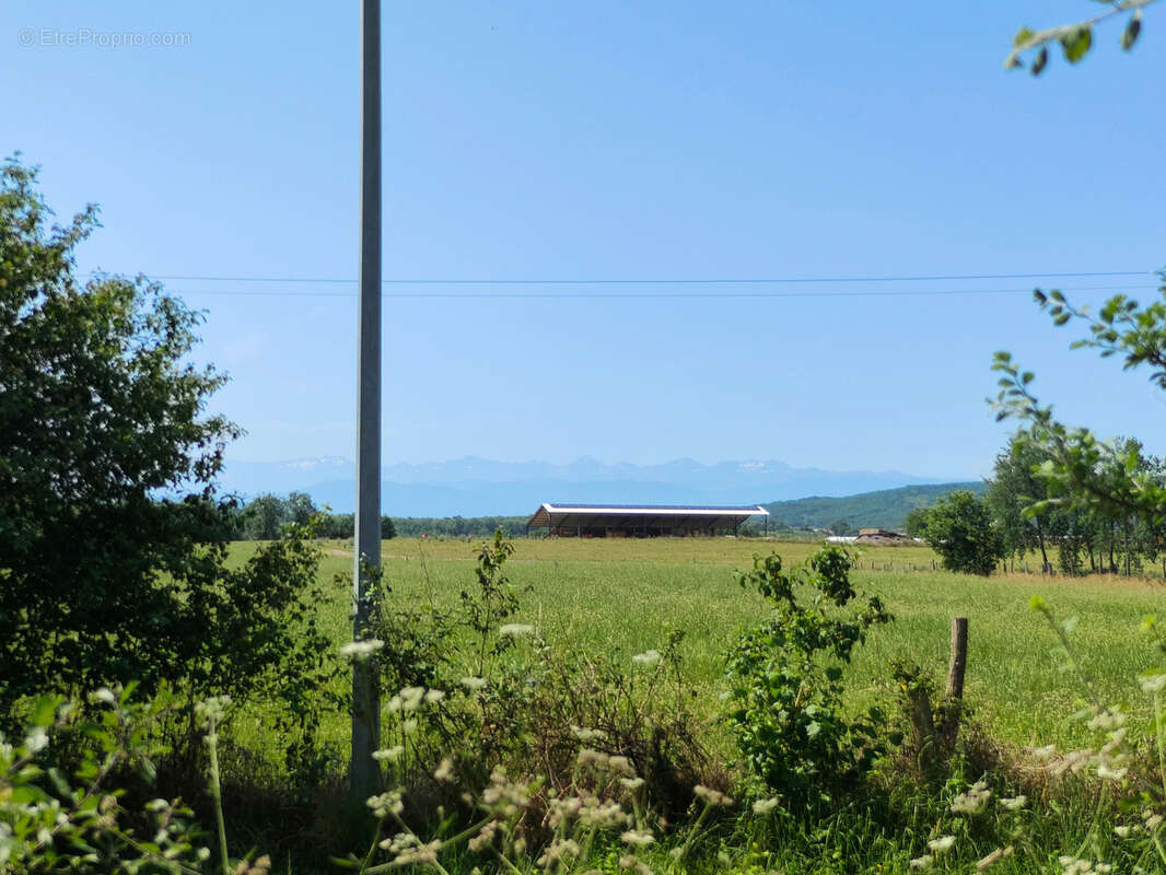 Maison à TERREBASSE