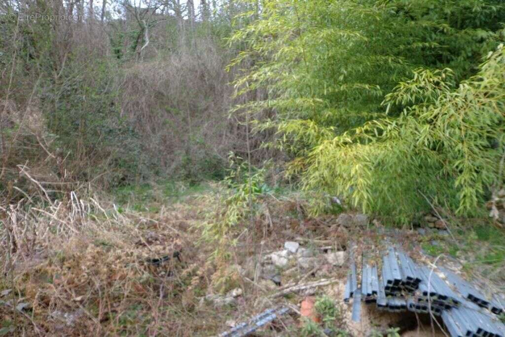 Maison à LA BASTIDE-DE-SEROU