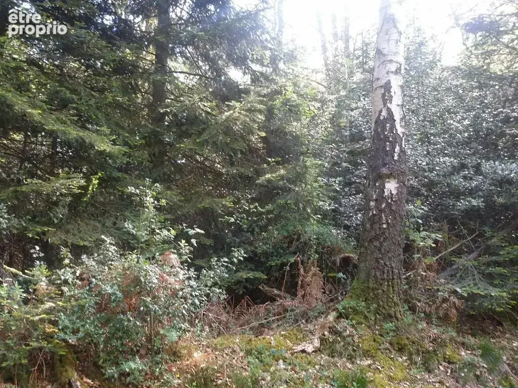 Terrain 3994 m² à La Folletiere-Abenon  - photo 2