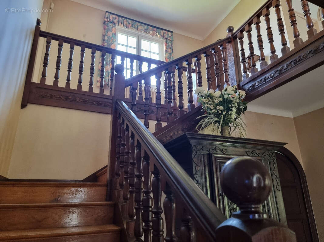 Maison à SAINT-PALAIS