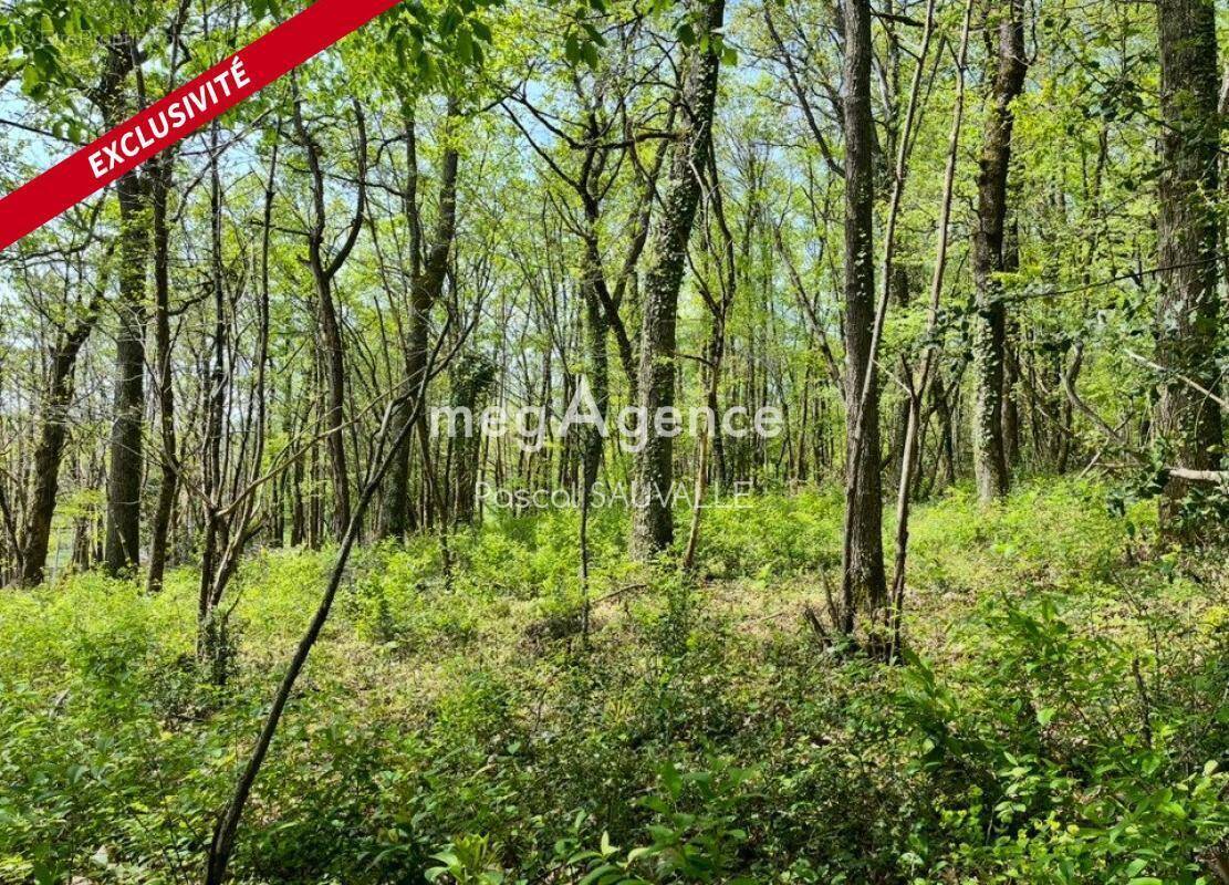 Terrain à CHANCELADE