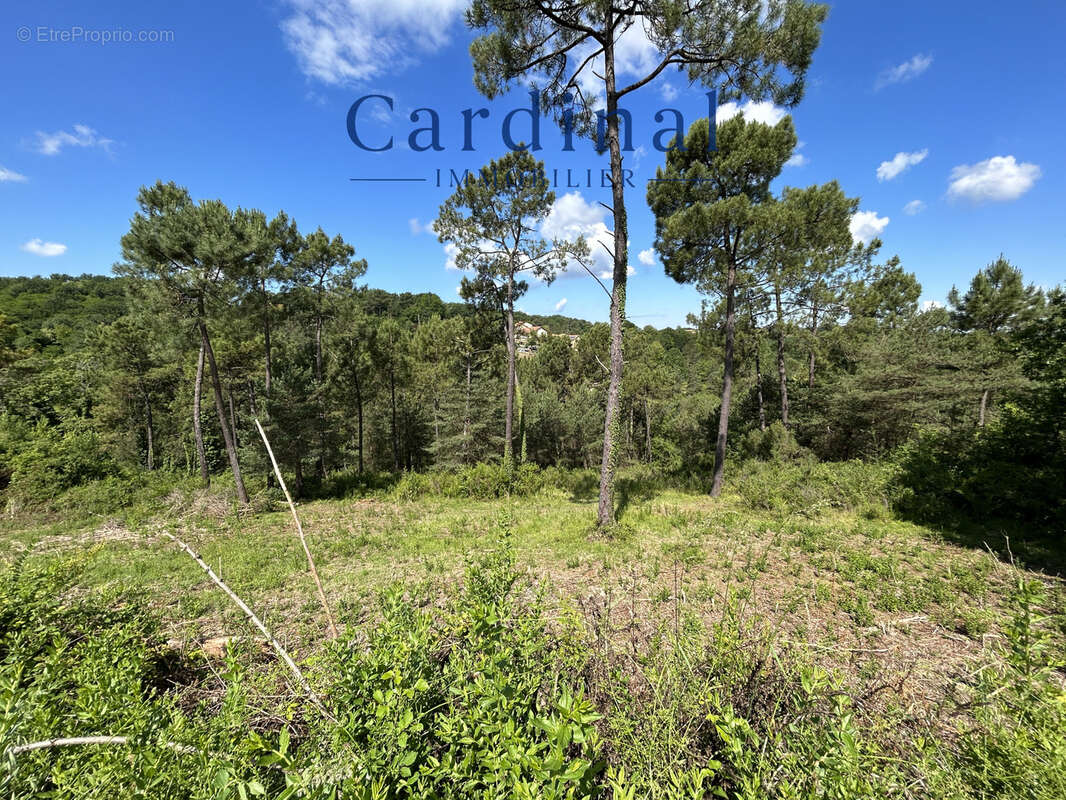 Terrain constructible - Lotissement , bonne exposition - photo 7
