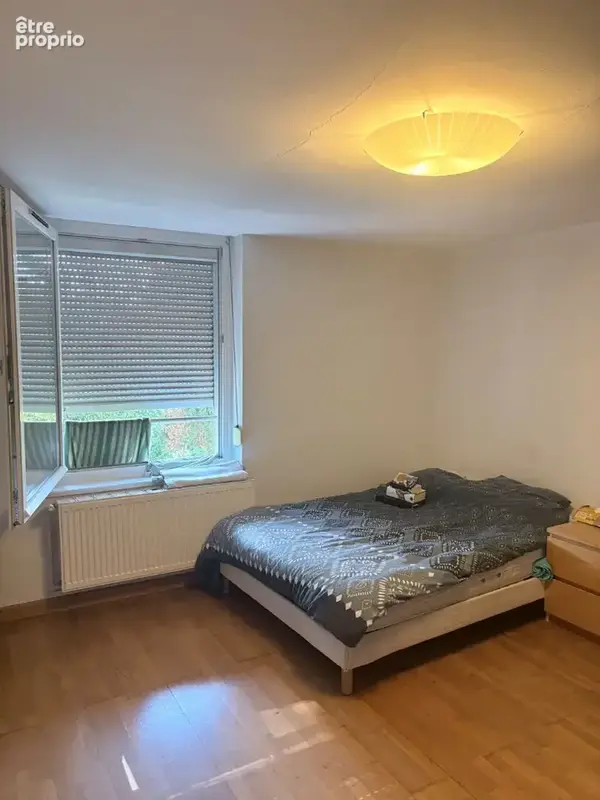Photo Appartement à Nancy au prix de 60 000€