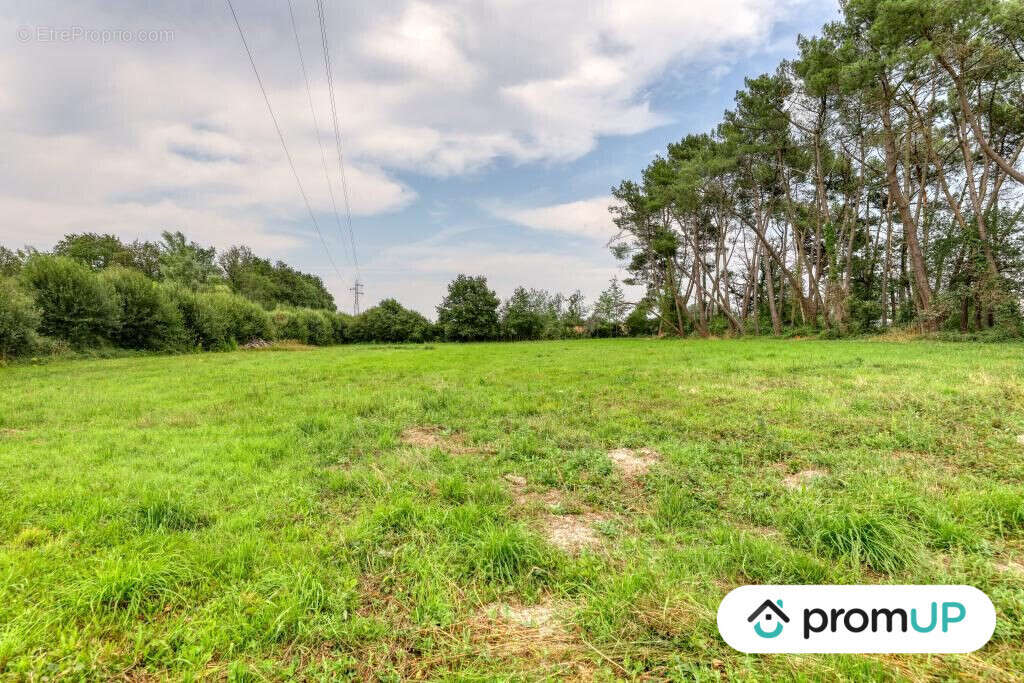 Terrain à SAINT-MARS-LA-BRIERE