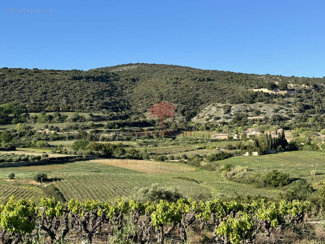 Terrain à MONTPEYROUX