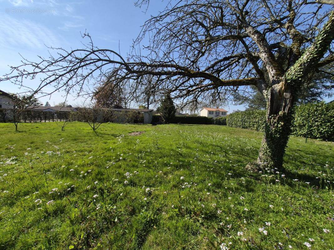 Terrain à PONT-DE-VAUX