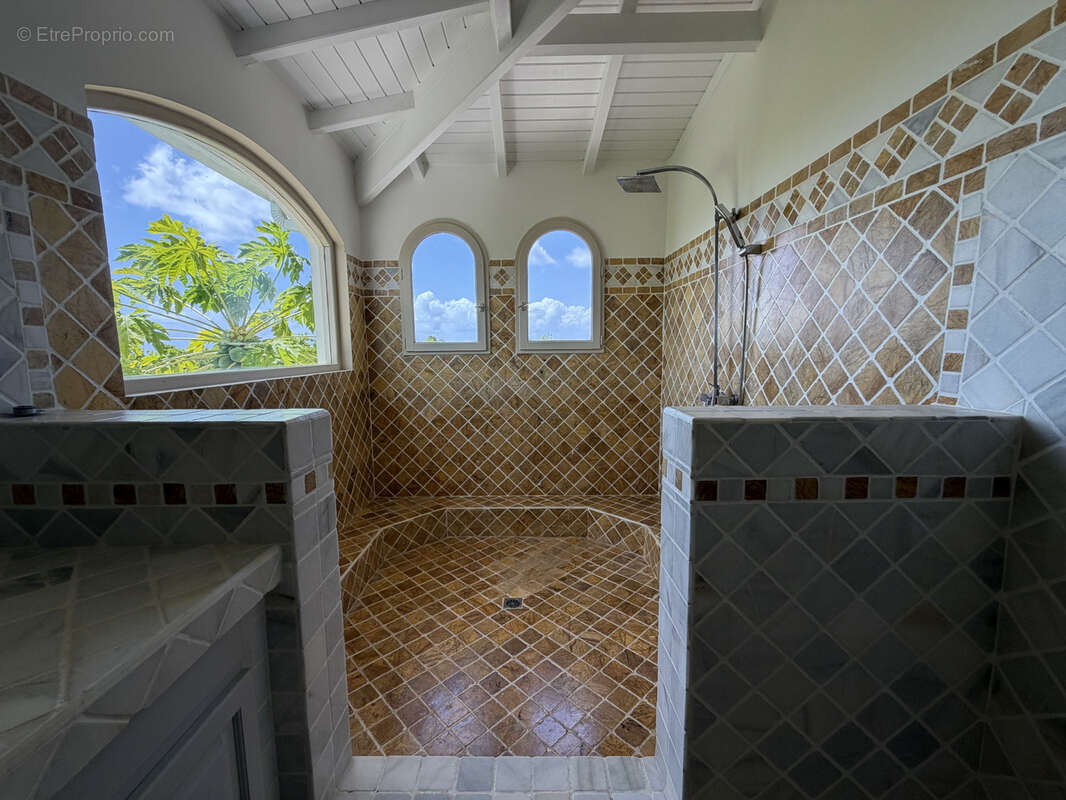 Propriété d'exception — Terres Basses, Saint-Martin - photo 27