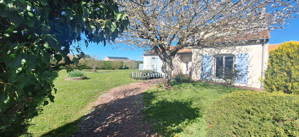 Maison à VINDELLE