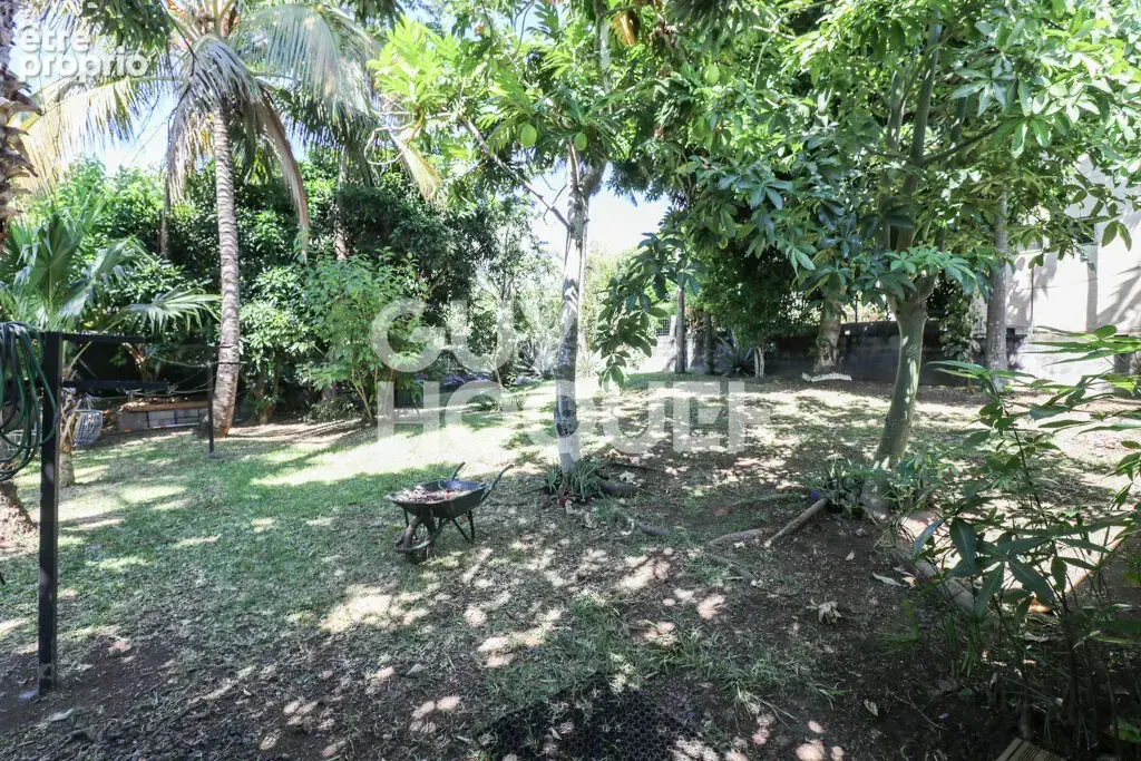Maison satec saint paul - saint gilles les hauts - photo 11