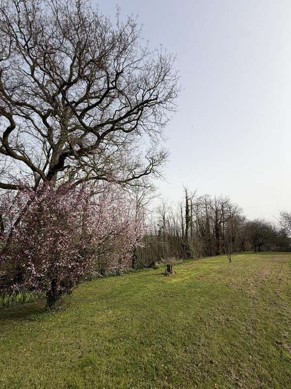 Maison à LE PUISET-DORE