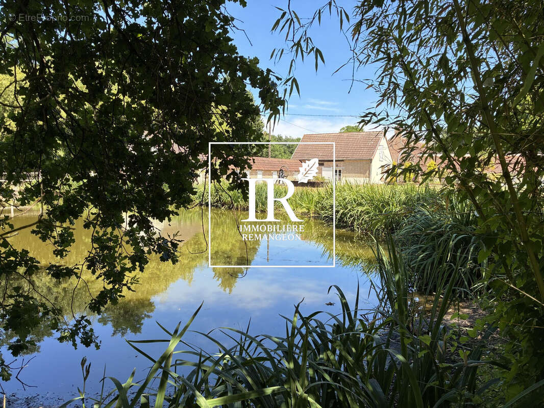 Maison 410 m² à Lamotte-Beuvron  - photo 4