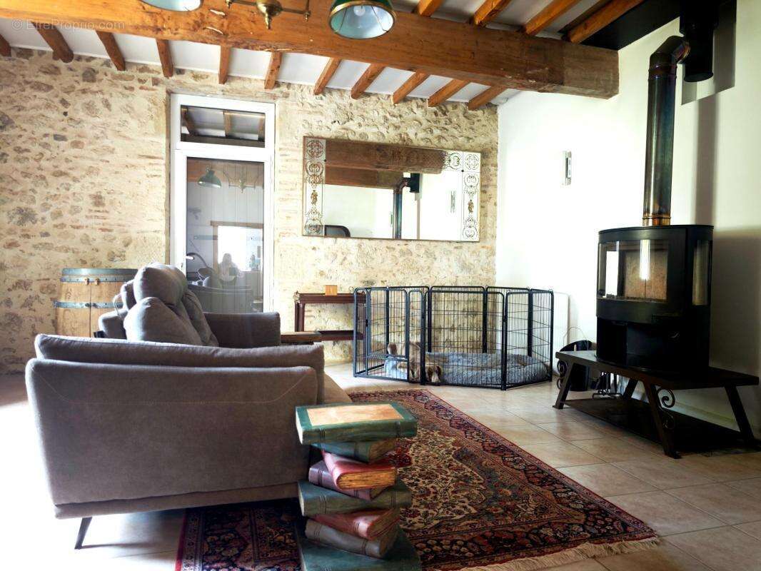 Auvillar, charmante propriété de 17 hectares avec sa maison de maître. Coup de coeur assuré ! - photo 6