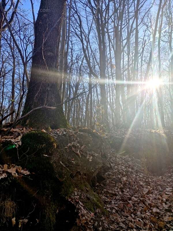 Terrain à RONQUEROLLES