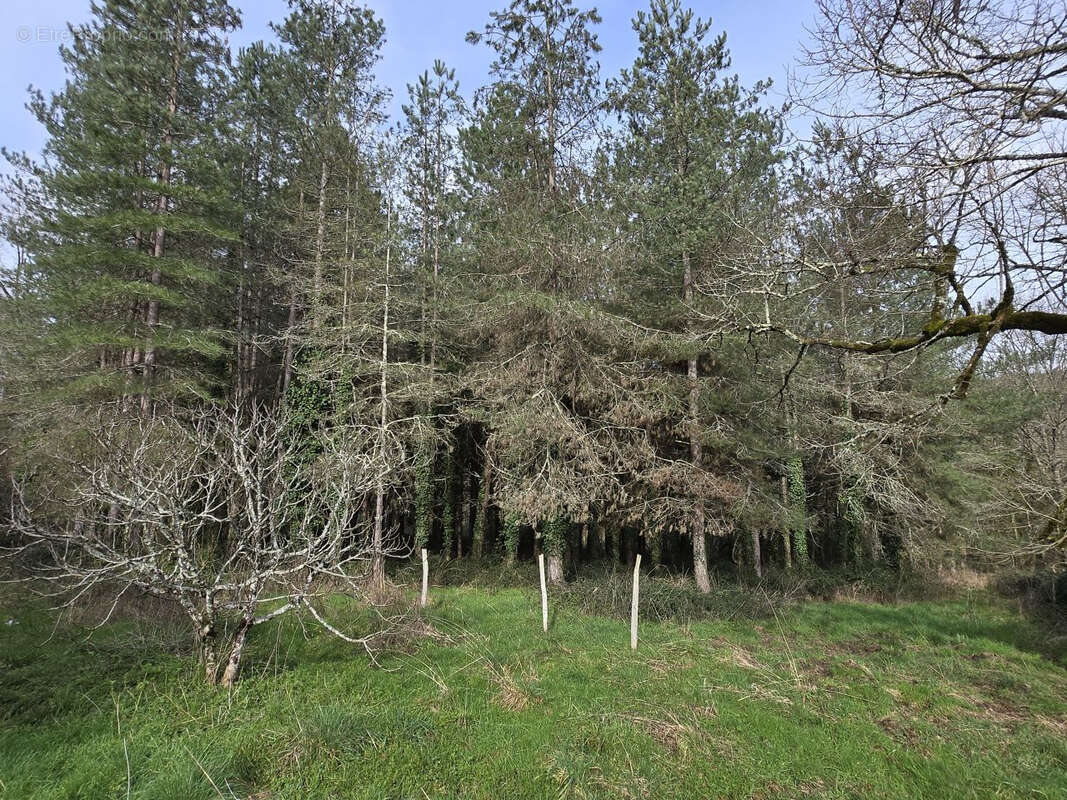Maison à VILLAMBLARD