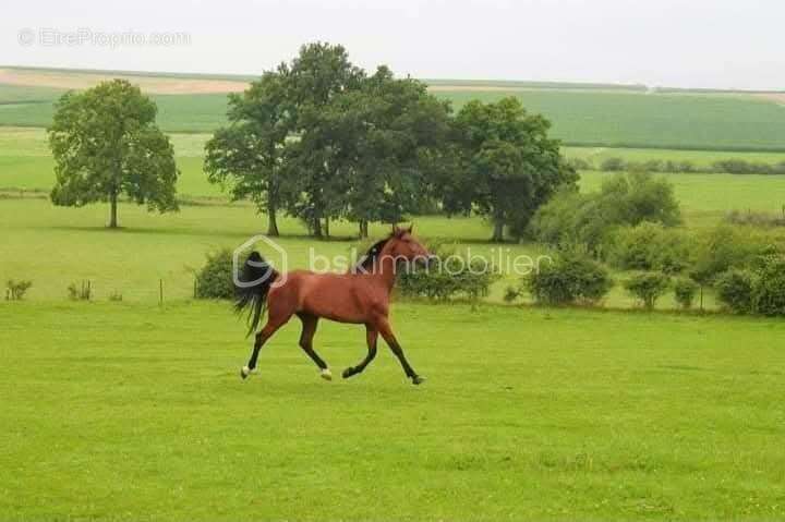 Maison à NOVION-PORCIEN
