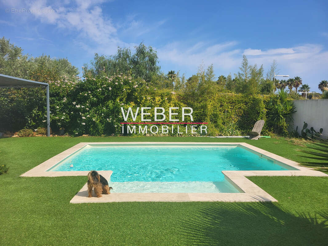 OLLIOULES - Plain pied 4 ch - Piscine - 675 m2 - photo 14