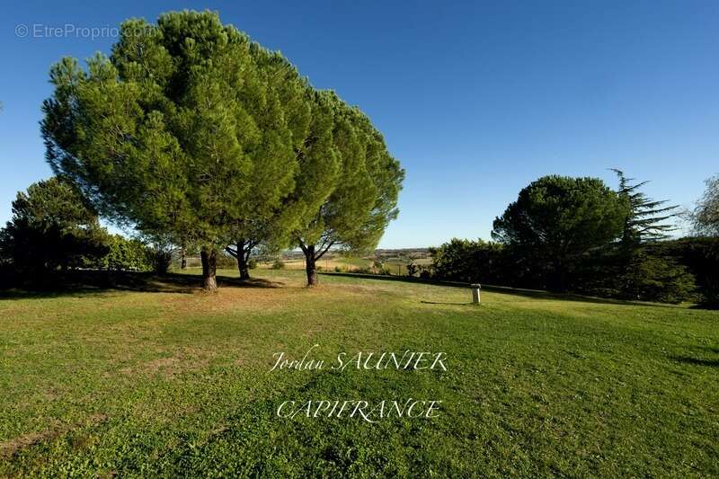 Maison à VILLEFRANCHE-DE-LAURAGAIS