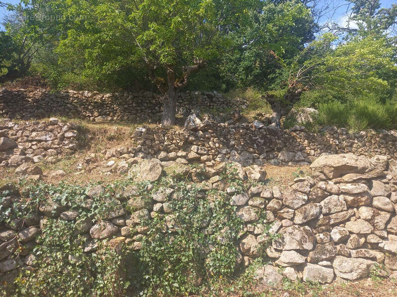 Maison à SAINT-MAURICE-EN-CHALENCON