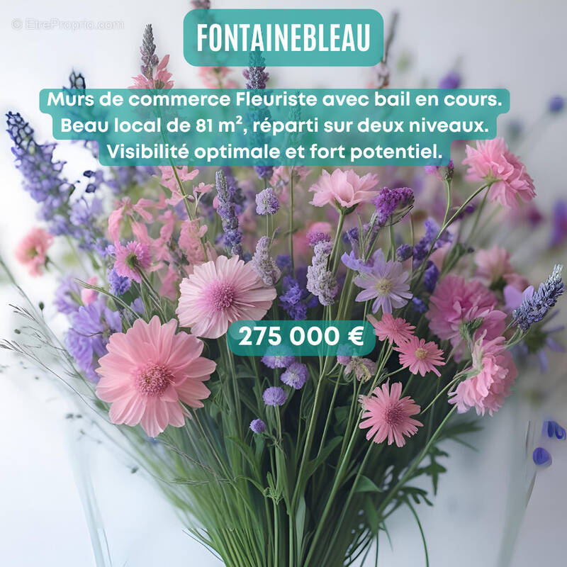 Commerce à FONTAINEBLEAU