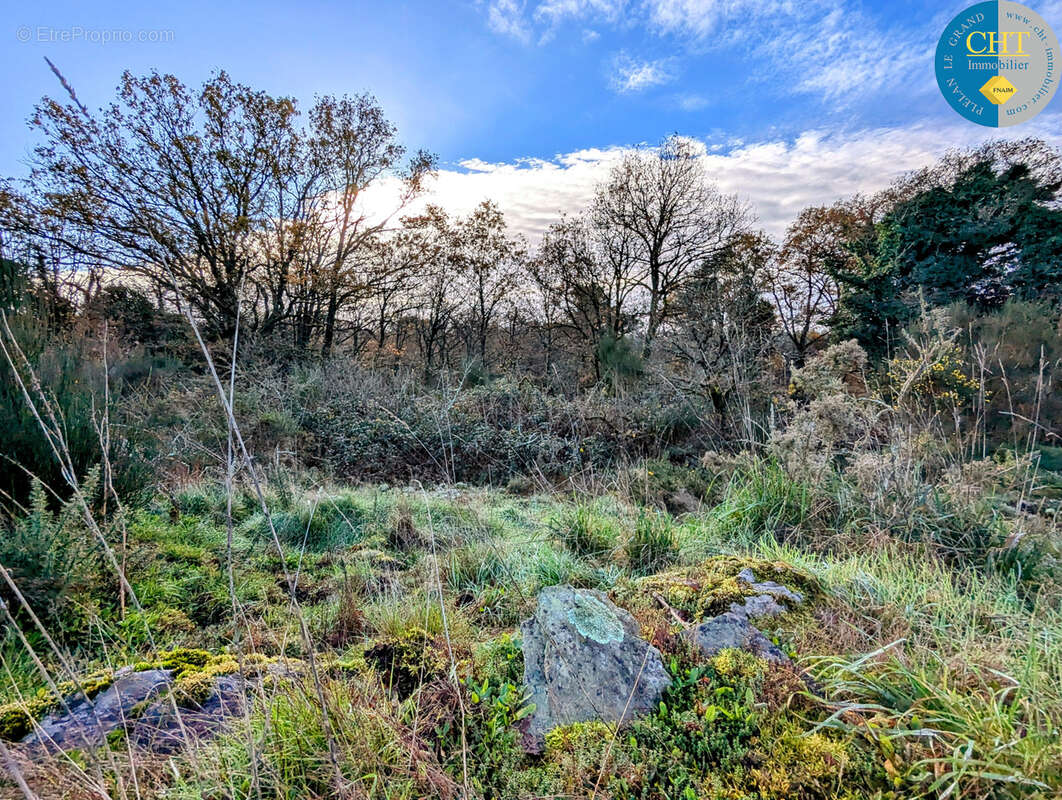Terrain boisé / parcelle de loisirs   campagne de monteneuf (56380) avec cht immobilier - photo 3
