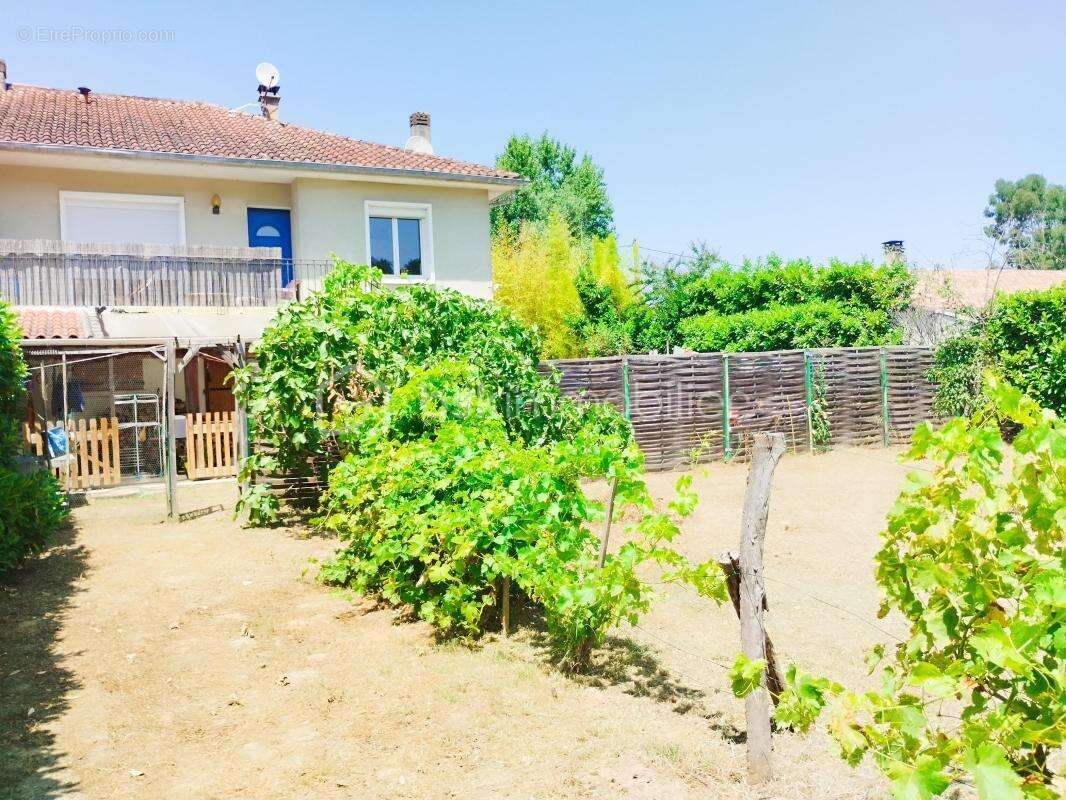 Maison à VIANNE