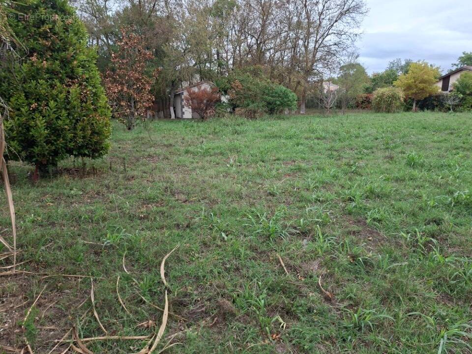 Terrain à TOURNEFEUILLE