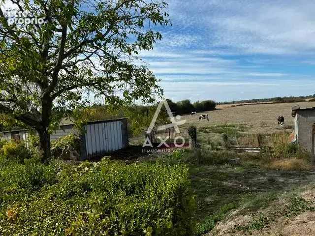 Coup de cur à saint-brisson-sur-loire ! - photo 20