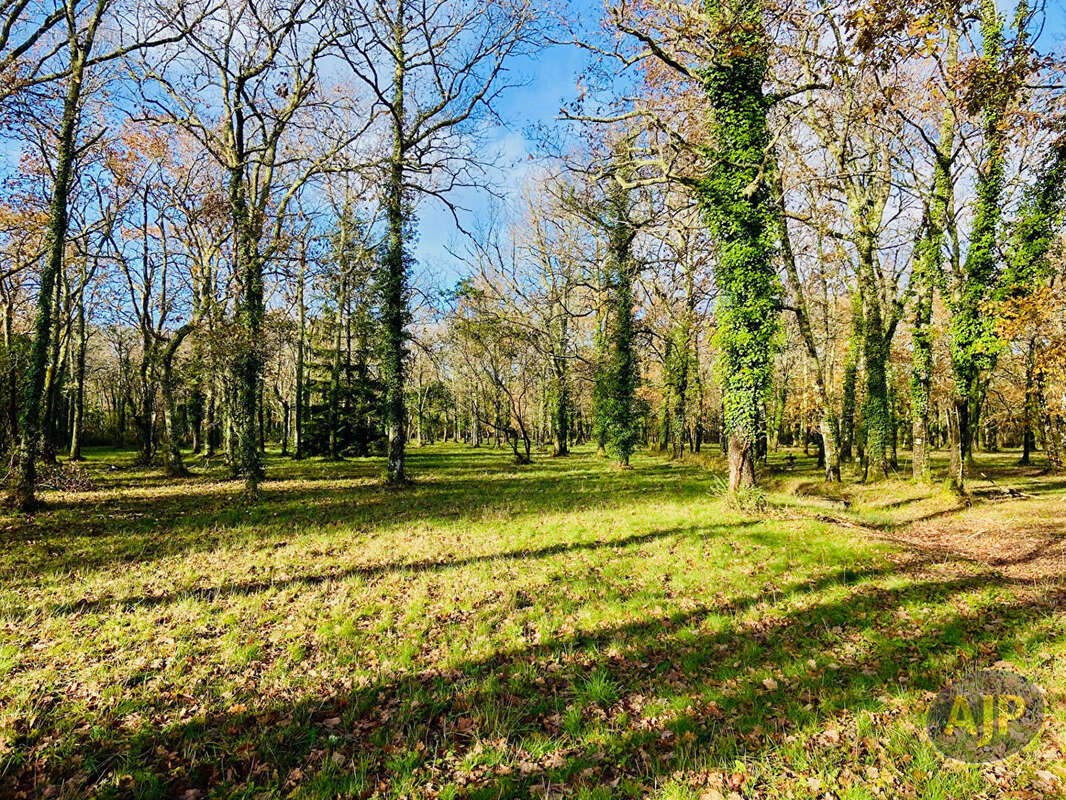 Maison à GAILLAN-EN-MEDOC