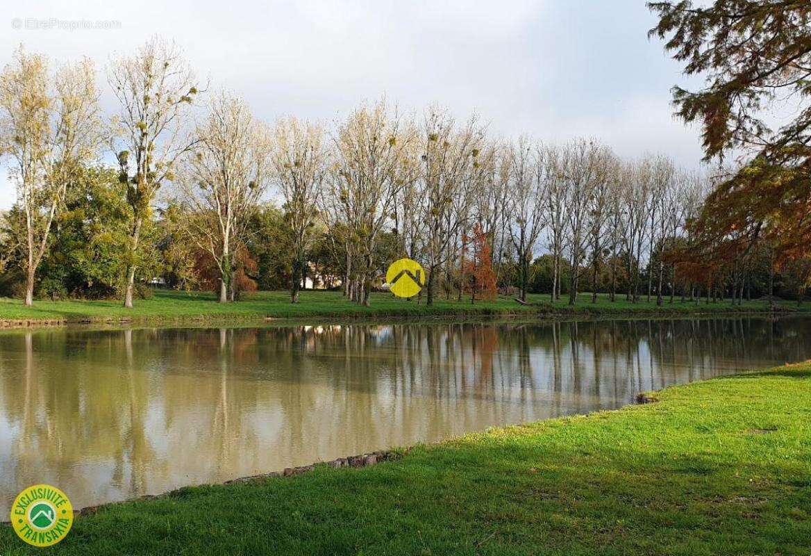 Maison à LAMOTTE-BEUVRON