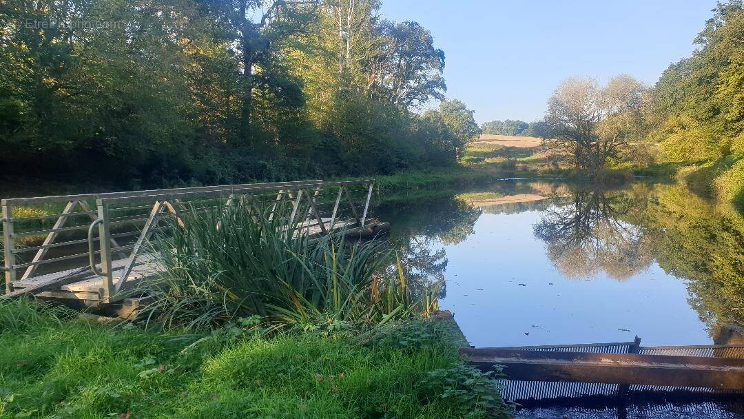 Terrain à SAINT-LEONARD-DE-NOBLAT