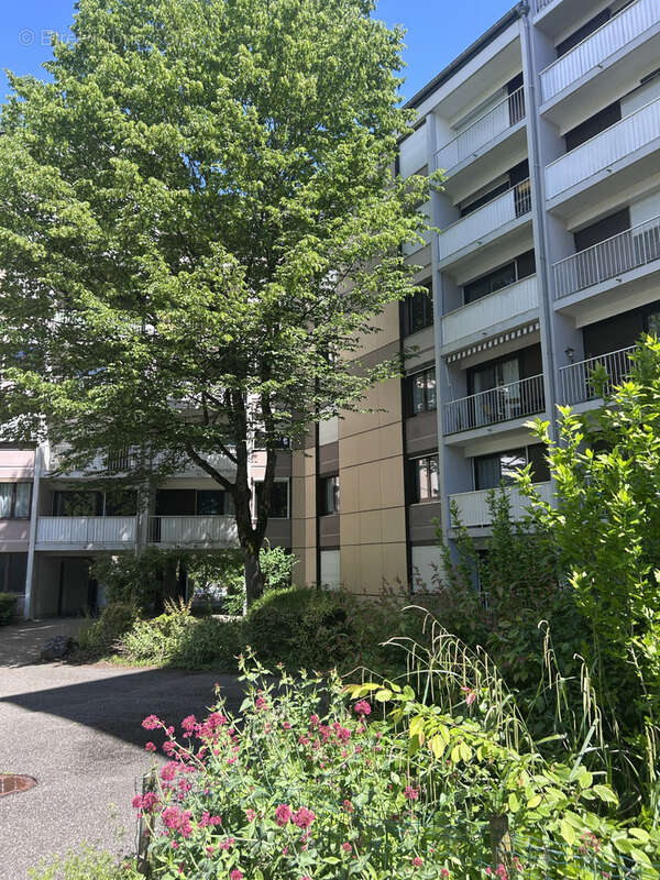 Appartement à QUINTAL