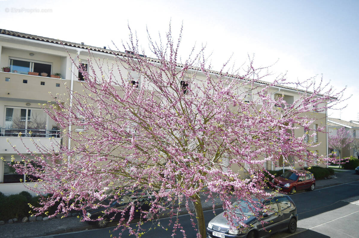 Appartement à BEGLES