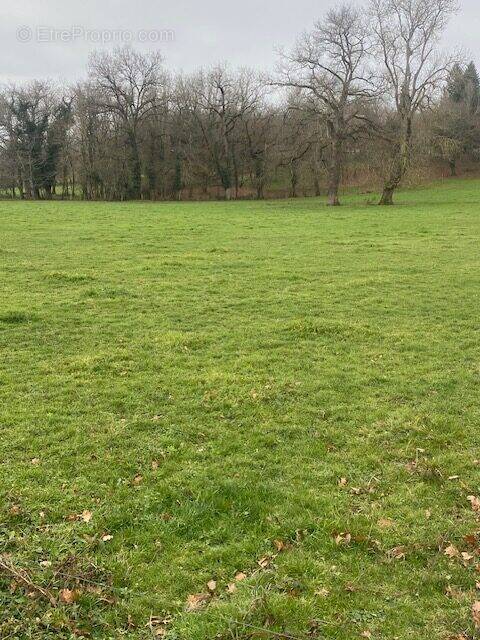 Terrain à CLERMONT-FERRAND