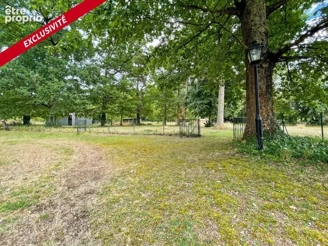 Maison bourgeoise en pierre de meulière - 300 m² - photo 10