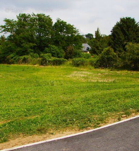 Terrain à SARTROUVILLE
