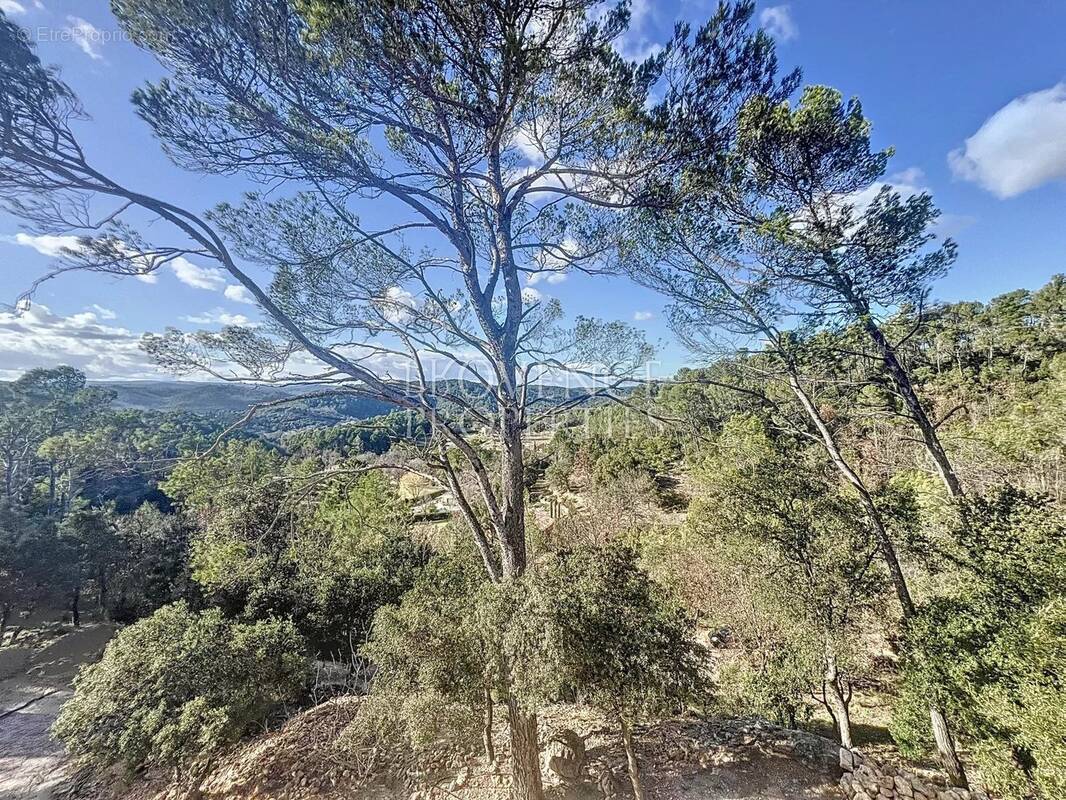 Maison à CHATEAUVERT