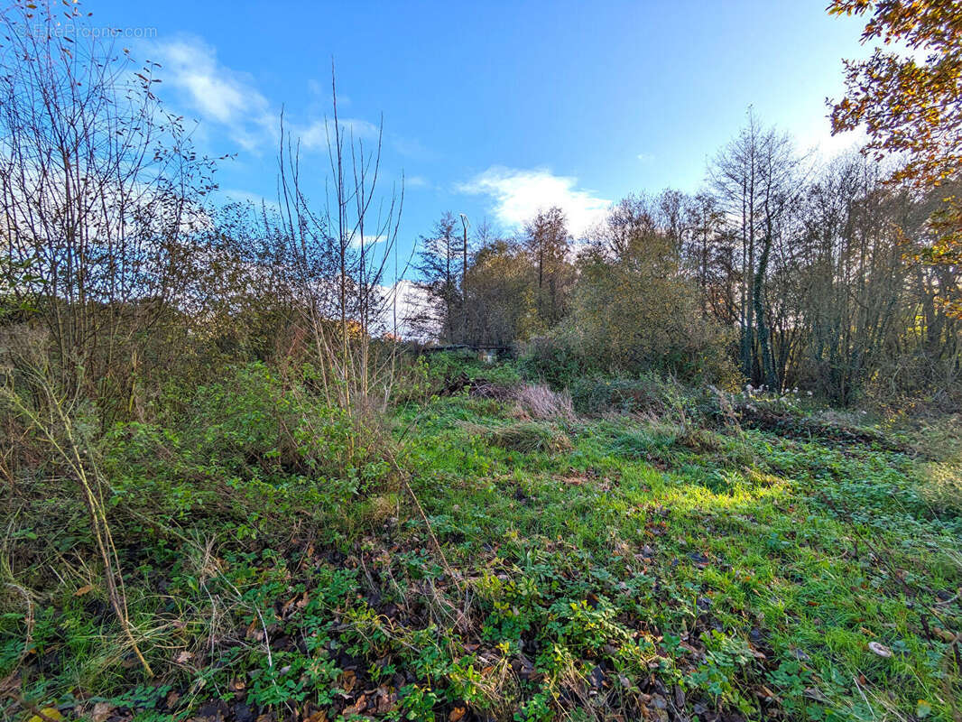 Terrain à ROZ-SUR-COUESNON