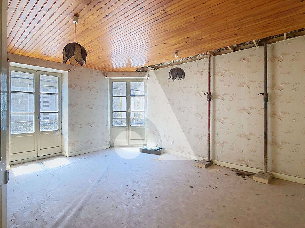 Immeuble Saint Symphorien Sur Coise 4 pièce(s) 225 m² - photo 4