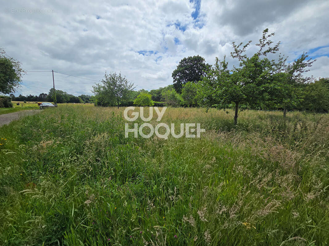 Terrain à HAUVILLE