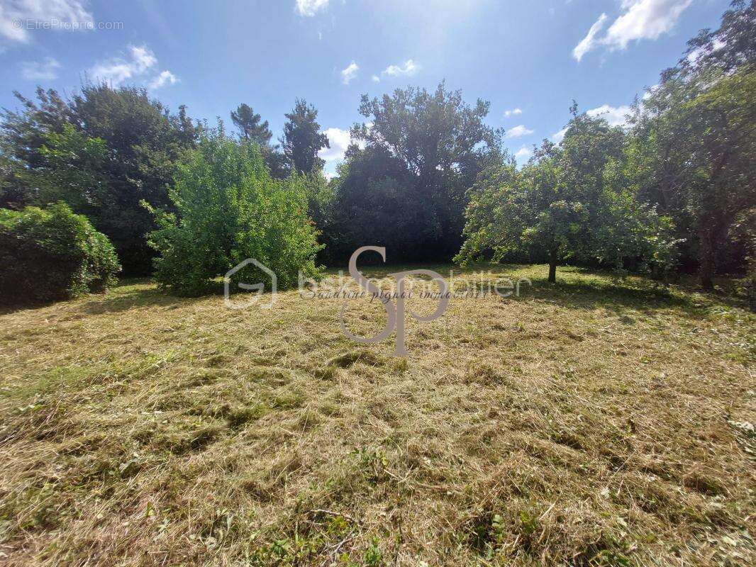 Grange, dépendances à fort potentiel, proche axes A6/A5 environ150 m² et jardin de loisirs - photo 16