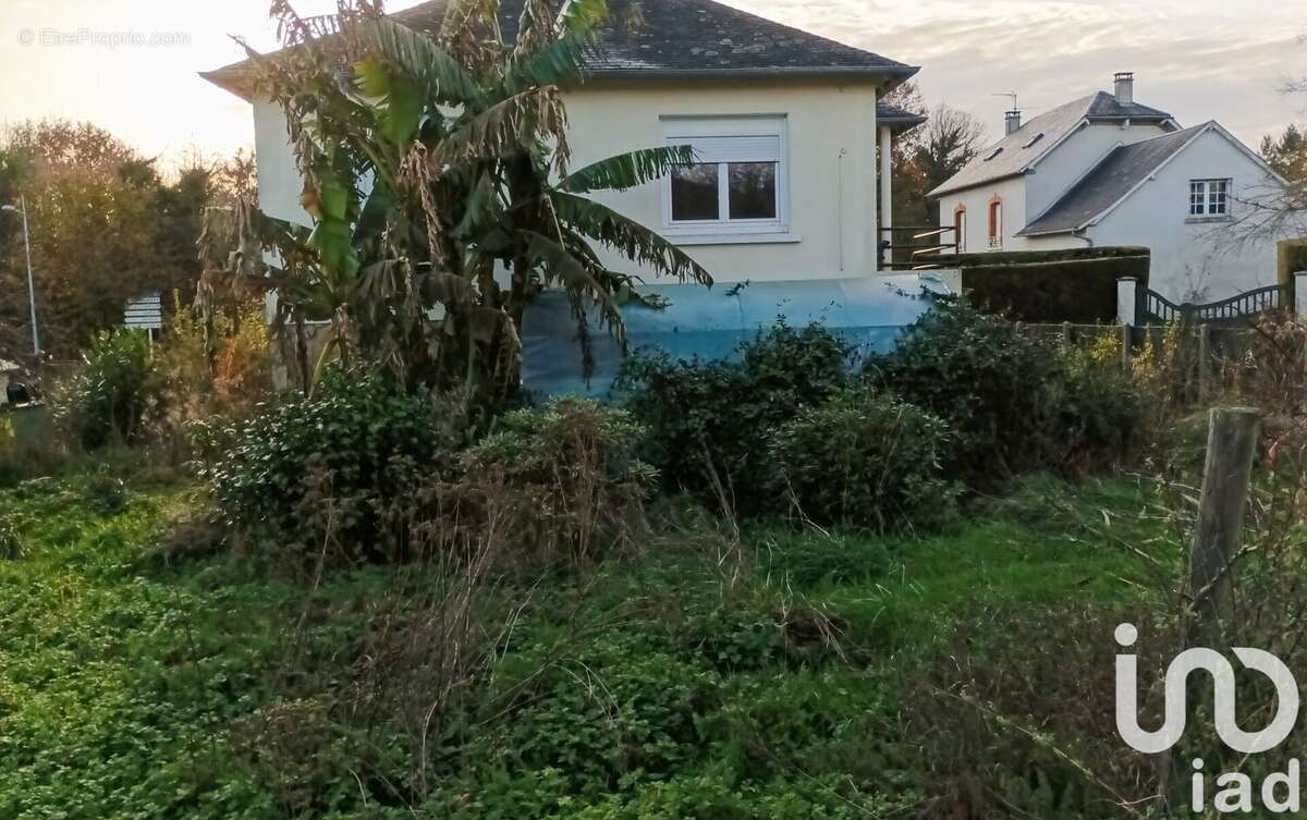 Photo 4 - Maison à SAINT-SORNIN-LAVOLPS