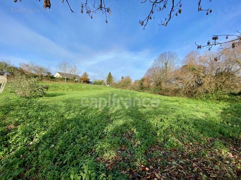 Terrain à QUINSSAINES