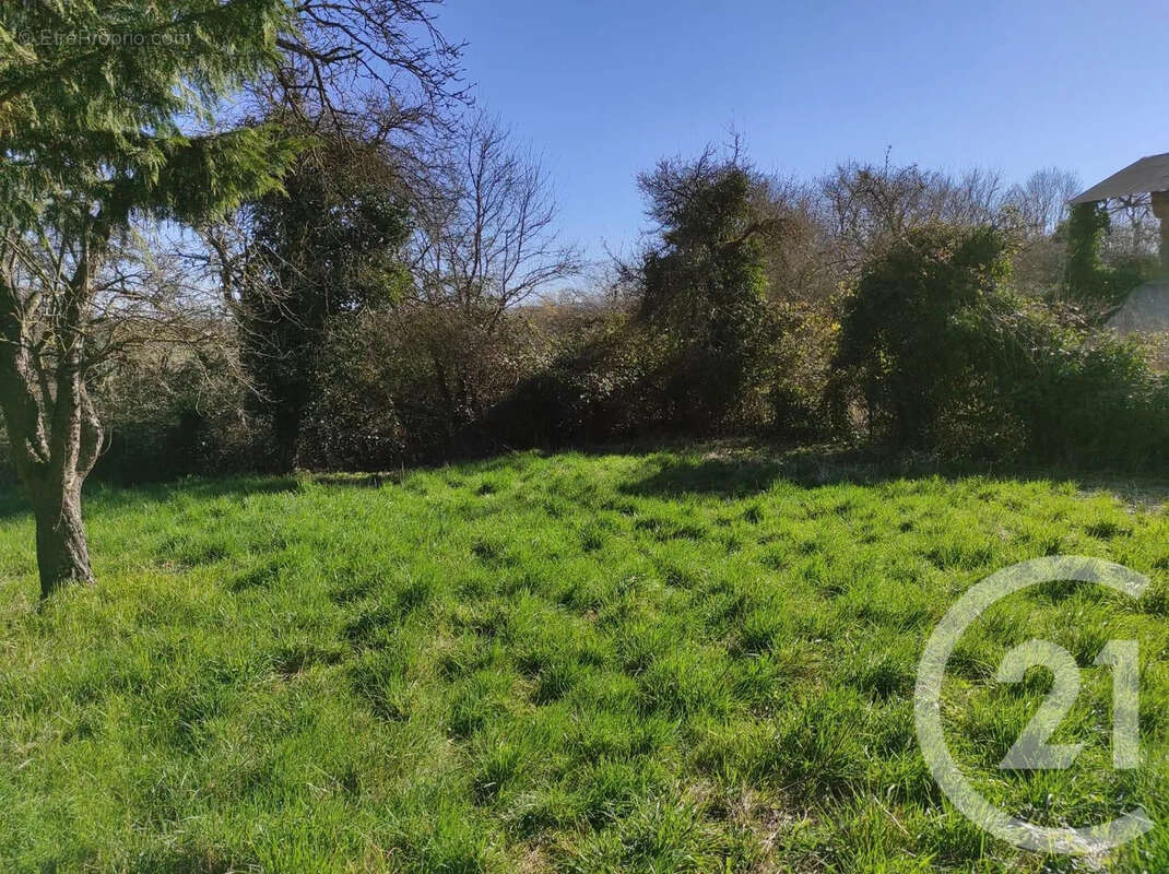 Terrain à CHAMPLAT-ET-BOUJACOURT