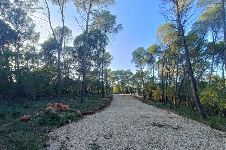 Terrain à LORGUES