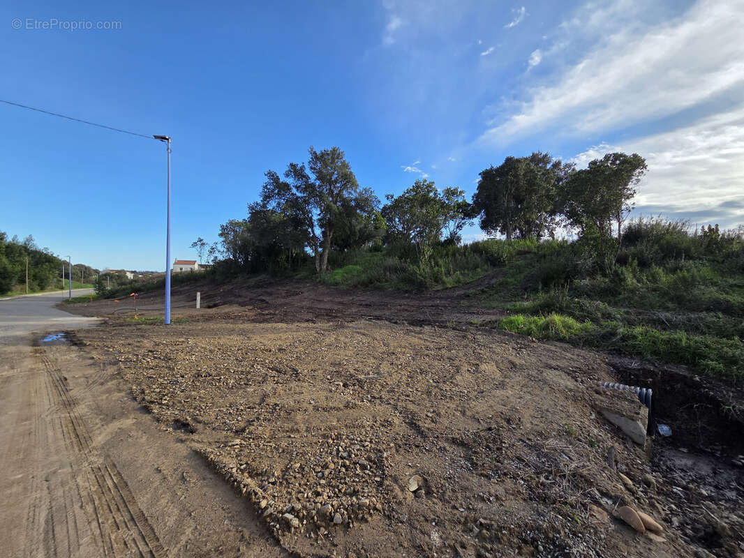 Terrain à ALERIA