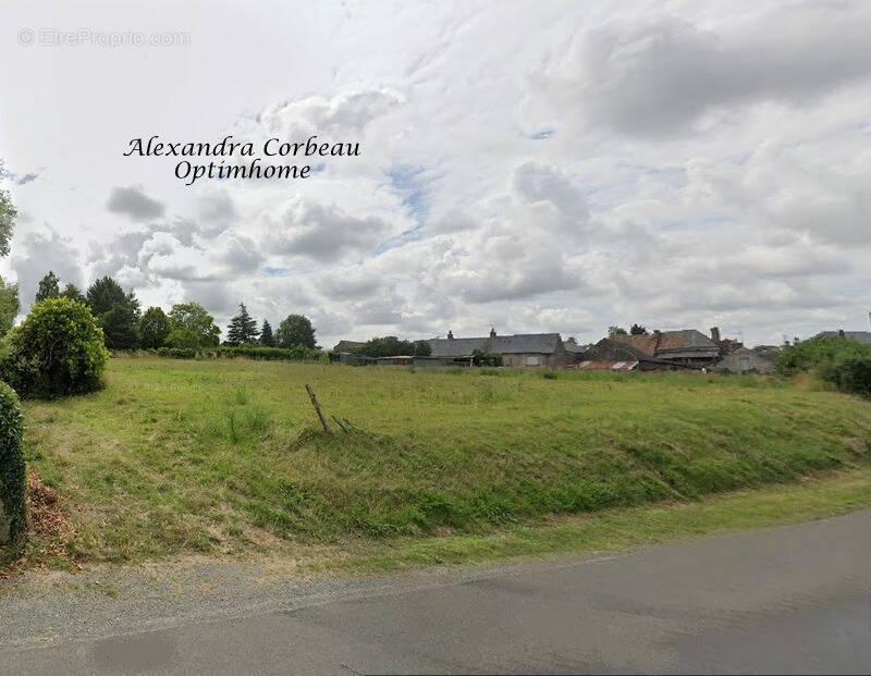 Terrain à SAVIGNE-SOUS-LE-LUDE