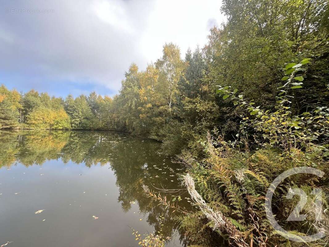 Terrain à BURDIGNES