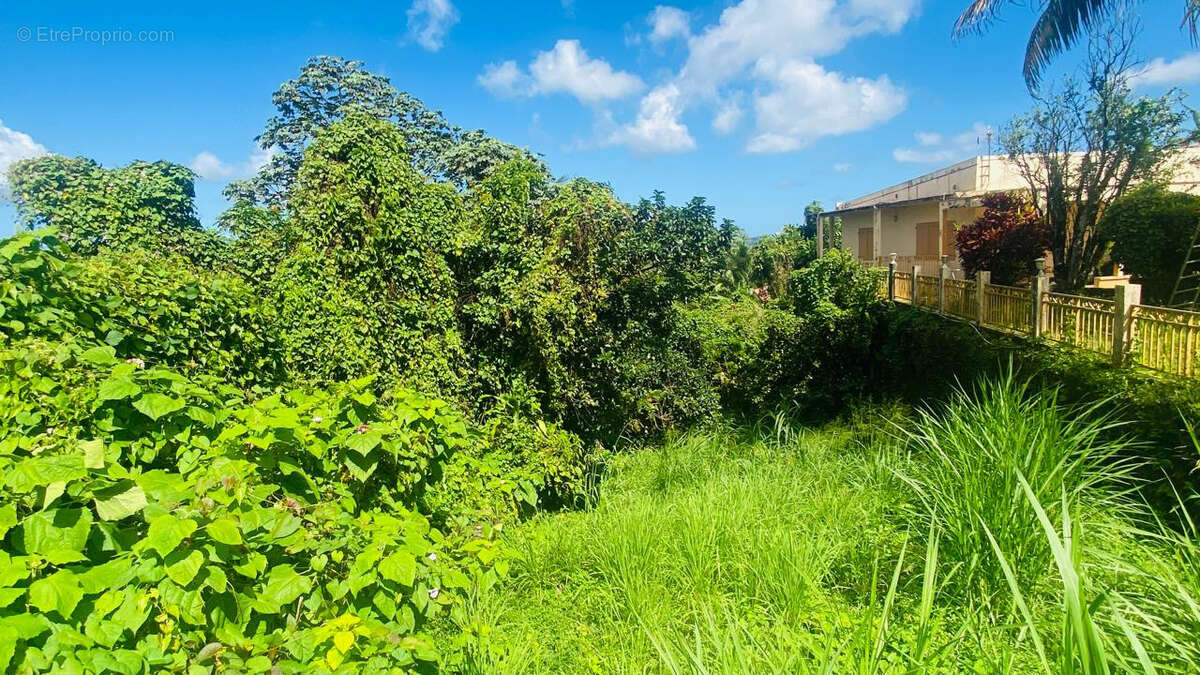 Maison à SAINT-JOSEPH